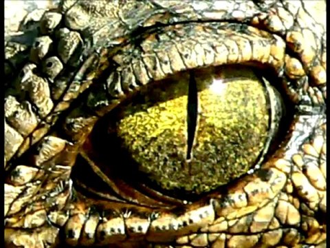 IMAGES ARTISTIQUES (blog de photographe)