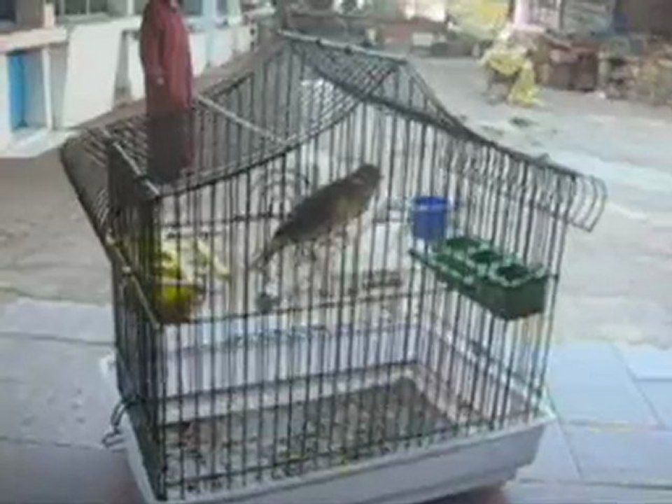 video