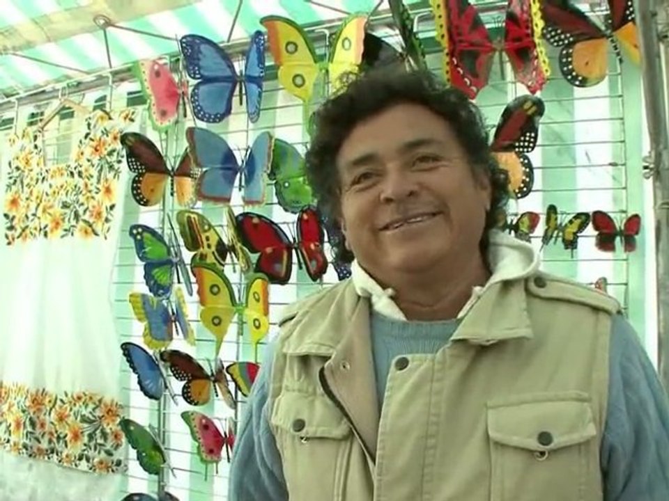 Marché de Noël à Fontenay-le-Comte (85) - décembre 2009