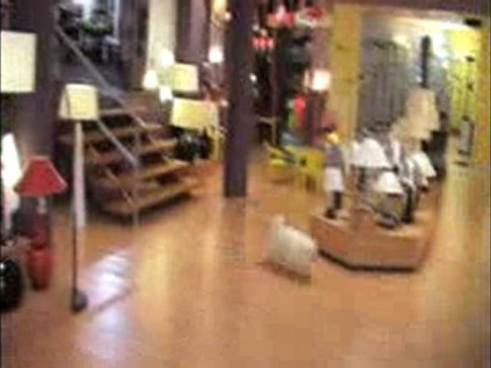 TopDecor