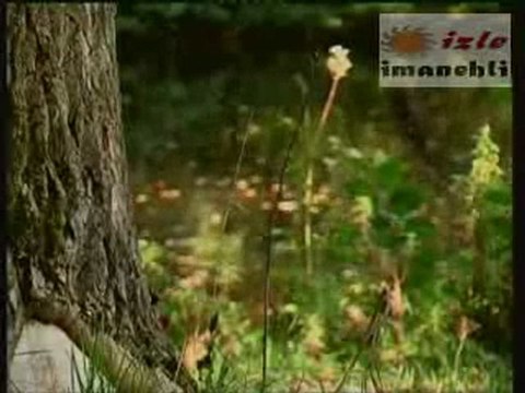 hasan dursun- derman isterim ben