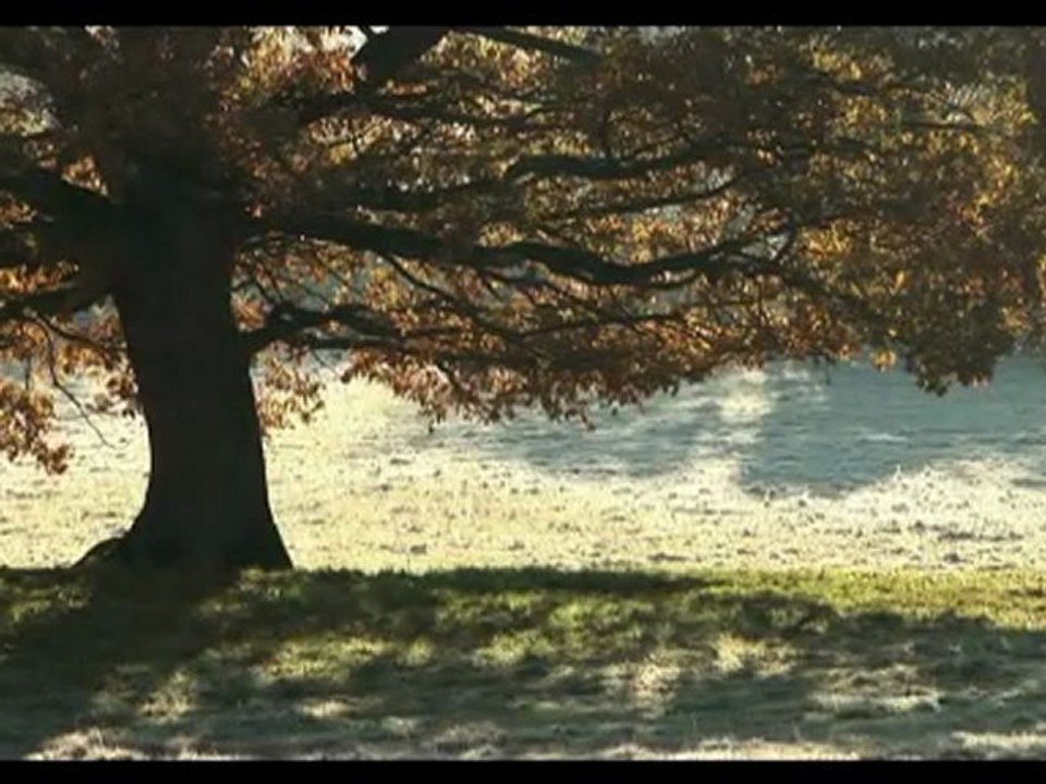 Mamellor Elevage sur Caillebotis