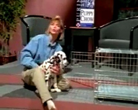 Transport dog crates All The Pet Supplies You Will Need For