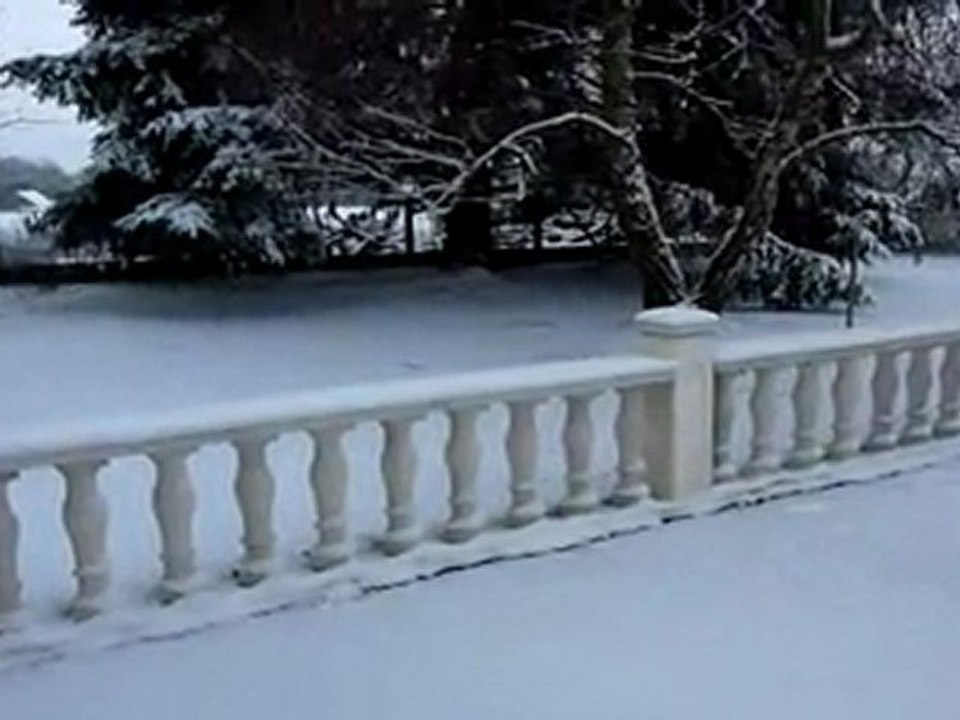 Il neige devant ma niche !