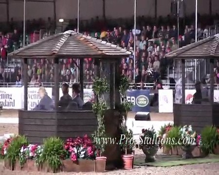 Edward Gal - Totilas