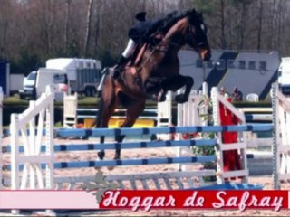 Haras du Loriot * Horses * saison 2009