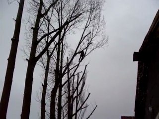 Elagage par rétention