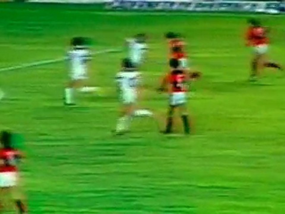 Zico 1 di 8