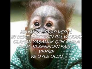 TIKLANMA REKORU KIRAN VİDEO--ERKEKLERİN HAKKI NEYLE ÖDENİR--