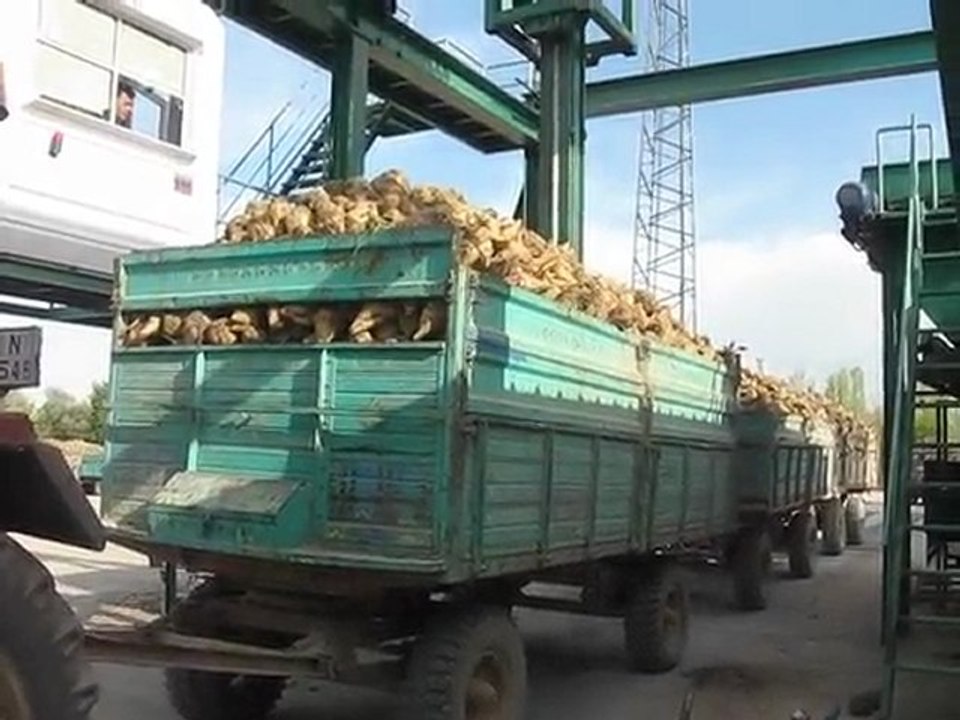 fireniz düşük polarınız yüksek olsun
