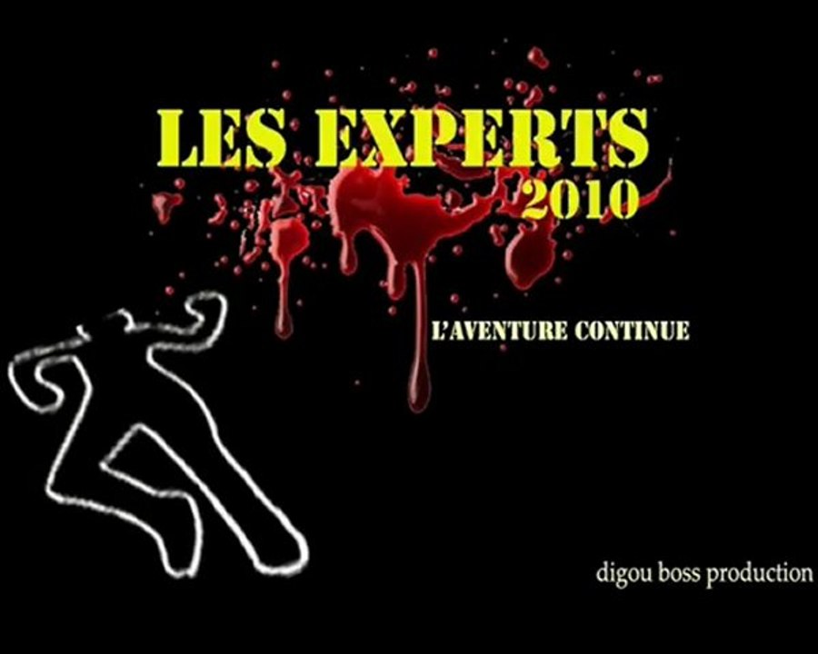 les experts la suite 2010 buzz