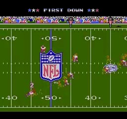 2010 NFL Playoffs - Tecmo Style! Green Bay vs Minnesota