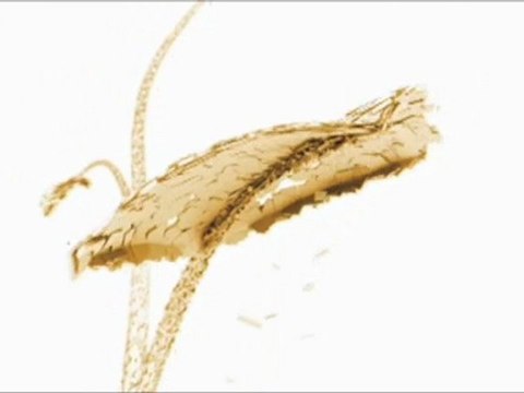 nietypowe Gdynia Gdynia Hit Enterprises. Programy na ...