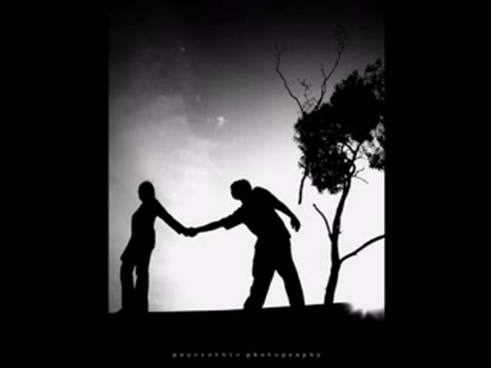 teoman&Özlem Tekin - Papatya