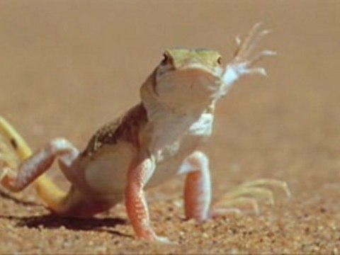 Aermec Warszawa Warszawa Klimawent Sp. z o.o. Systemy ...