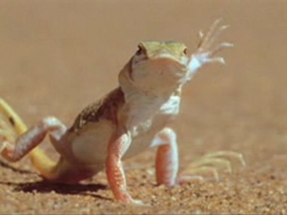 Aermec Warszawa Warszawa Klimawent Sp. z o.o. Systemy ...