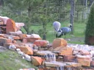 safari poddebicki Borysew ZOO Safari