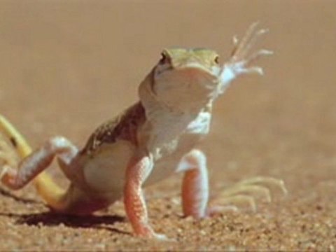 klimatyzacja laboratorium Gdynia Gdynia Klimat Sp. z ...