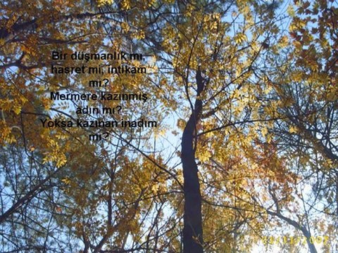 SIRRI ÇINAR*Kan Salkımı* Şiir* sirricinar.com