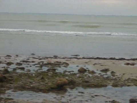 Course sur la plage deserte (La tranche sur Mer)