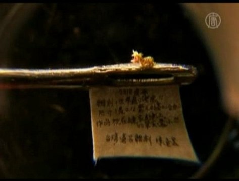 Taiwanese Tiger Smaller Than Rice Grain