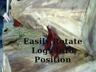 Log Frog Log Controlling Cleats