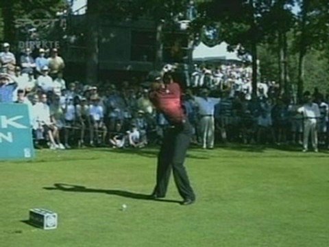 Tiger Woods - Perfect Swing Vision - Driver