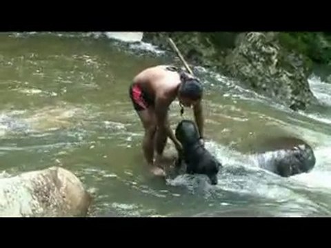Découverte de l'Amazonie en Equateur 1ere partie