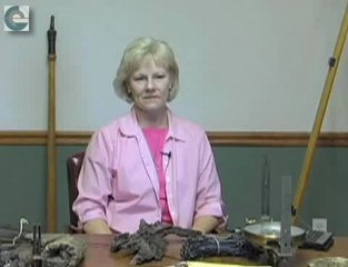 Nedra Foster's discusses the 4 year degree requirement for