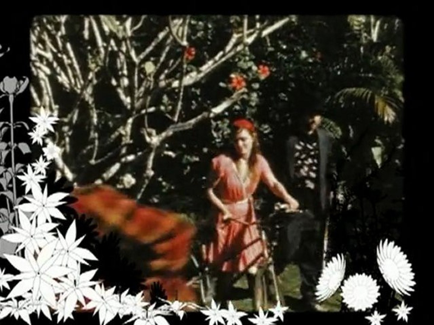 Angus & Julia Stone - Mango Tree - video Dailymotion