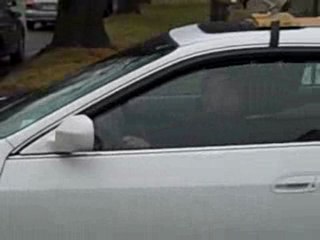 spanish speaking corkely election day