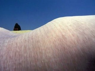 AUGUSTO DE LUCA - COLOR PHOTOGRAPHS