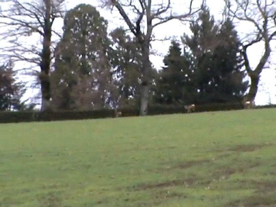 20100116110138