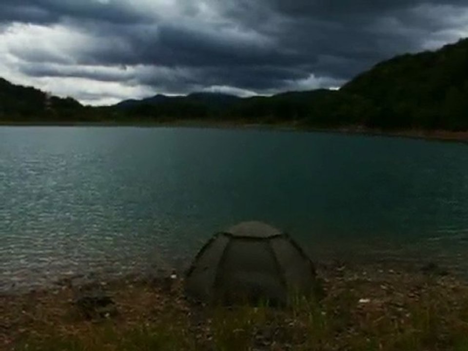 miroir 17kg triplé carpe miroir 14kg +  combat fish spot