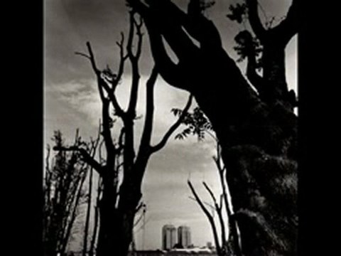 AUGUSTO DE LUCA : FOTOGRAFIE - FRAMMENTI D'ITALIA