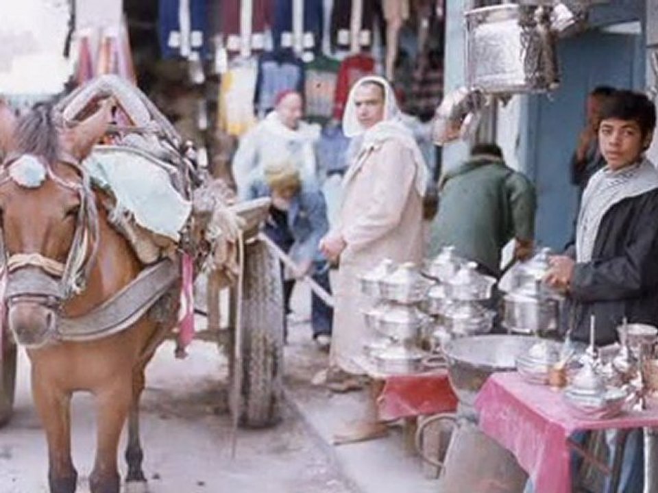 Tunisie-show0
