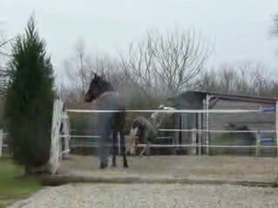 Heidi & Richesse tarées !