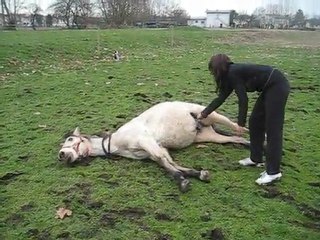 Kitsuneïro l'imperturbable ! [Team-Patawak.com]