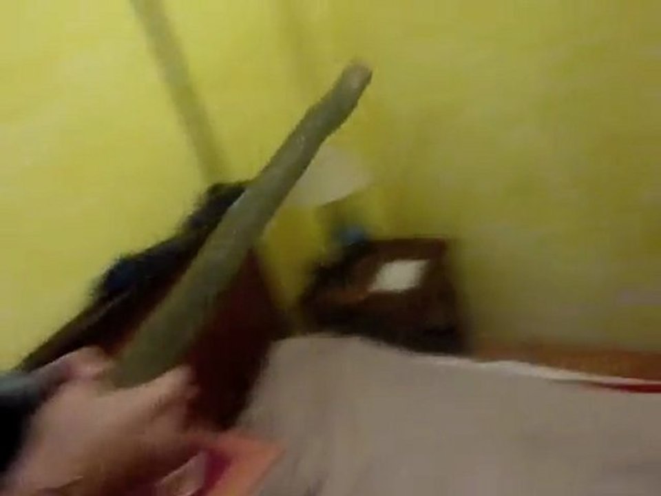 Vietnam : Bonus track