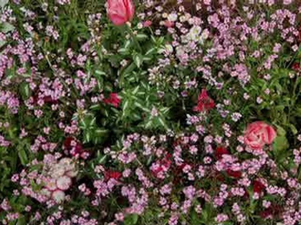 en passant par la touraine-show0