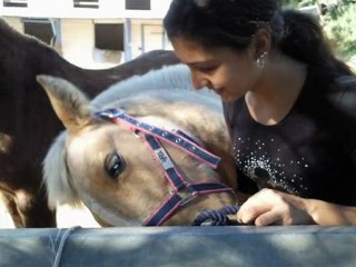 Les ecuries de Palama ; Ma petite vie.