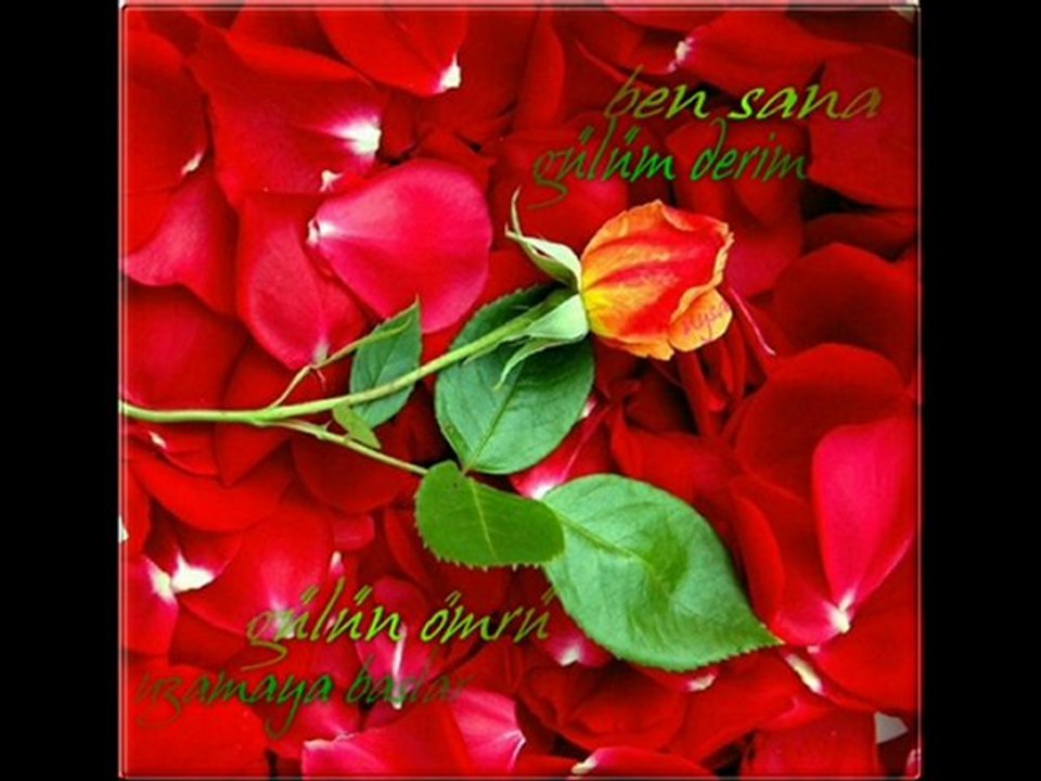 EBRU GÜNDEŞ - BEN OLMAYINCA