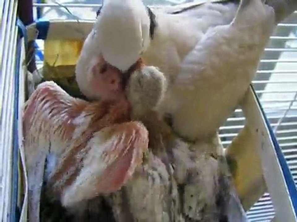 heure du repas^^