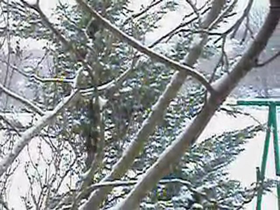 Encore de la neige suite!