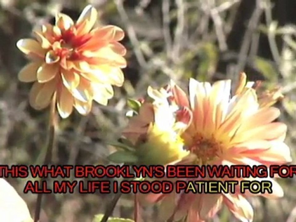 "Humdrum Town (Videoke Version)" - Theophilus London