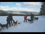 Activités séminaires HIVER