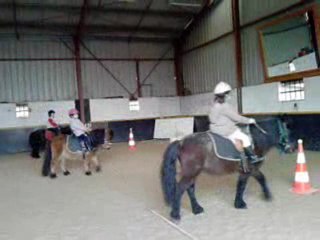 poney
