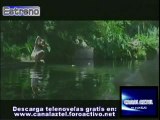Martin Rivas Telenovela Chilena  promocional canal Aztel