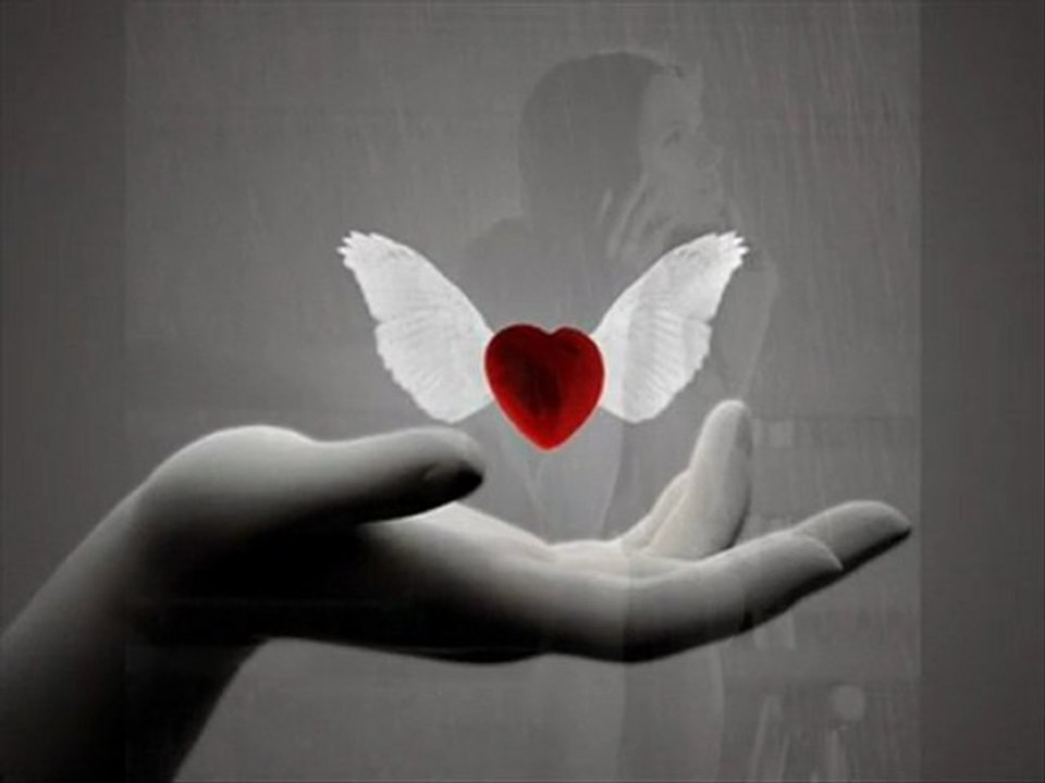 Erdal Çelik - Gülendam