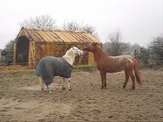 après-midi récréative